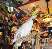 A Friend In Hand - Grafton Accommodation