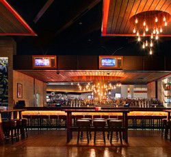 Rock Lily Nightclub - Grafton Accommodation 0