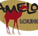 Camelot Lounge - Grafton Accommodation