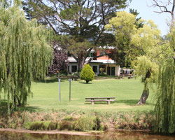 Bendemeer Hotel - Grafton Accommodation 3