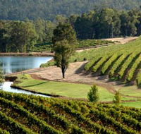 Brookhampton Estate Vineyard - Grafton Accommodation