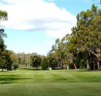 Cooma Golf Club - Grafton Accommodation