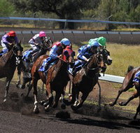 Alice Springs Turf Club - Grafton Accommodation