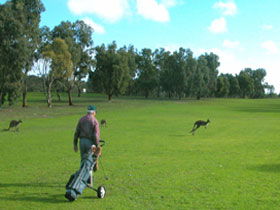 Coffin Bay Golf Club - Grafton Accommodation 0