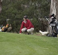 Tasmania Golf Club - The - Grafton Accommodation