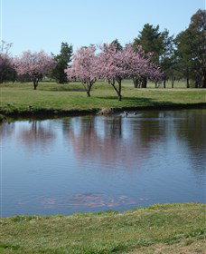 RMC Golf Club - Grafton Accommodation 0