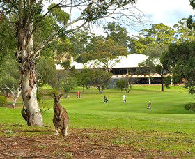 Pambula Merimbula Golf Club - Grafton Accommodation 0
