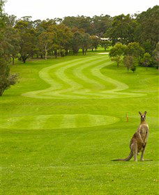 Pambula Merimbula Golf Club - Grafton Accommodation 2
