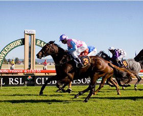 Hawkesbury Race Club - Grafton Accommodation 1
