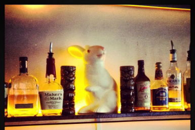 Hairy Canary - Grafton Accommodation 0
