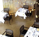 Flying Fish Bar - Grafton Accommodation
