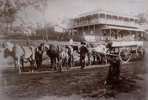 Grand Hotel Many Peaks - Grafton Accommodation 3