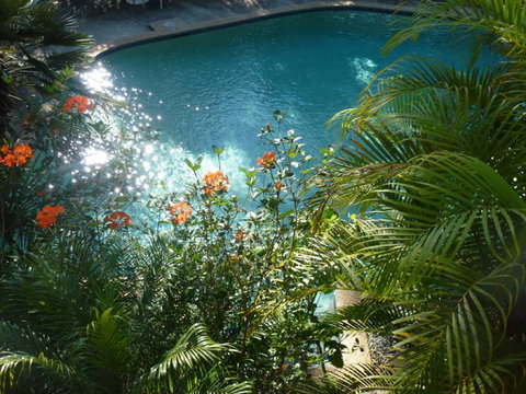 Avoca Beach Hotel - Grafton Accommodation 0