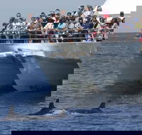 MoonshadowTQC Cruises - Grafton Accommodation