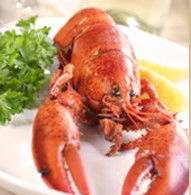 Il Piatto Restaurant - Grafton Accommodation 1