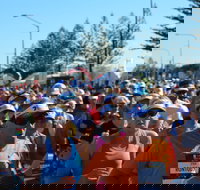 7 Sunshine Coast Marathon - Grafton Accommodation