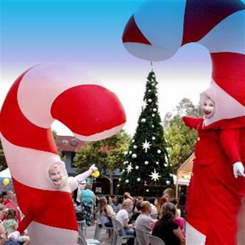 Blacktown Christmas Light Up Concert - Grafton Accommodation 0