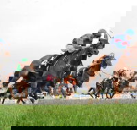 Christmas Cup Race Day - Grafton Accommodation