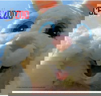 Easter Egg-stravaganza - Grafton Accommodation