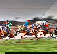 Grafton July Racing Carnival - Grafton Accommodation