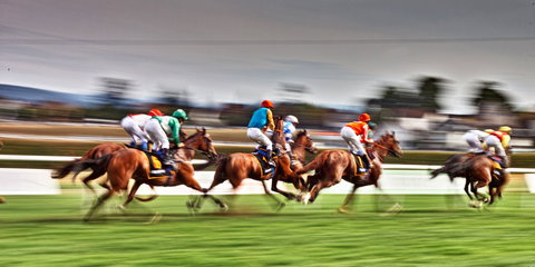 Grafton July Racing Carnival - Grafton Accommodation 0