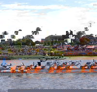 Jacaranda Dragon Boat Races - Grafton Accommodation