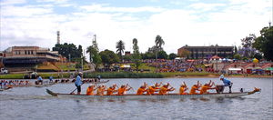 Jacaranda Dragon Boat Races