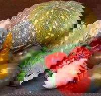 Lismore Organic Market - Grafton Accommodation