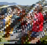 Lovedale Long Lunch - Grafton Accommodation