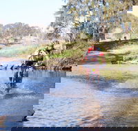 Mountain Man Tri Challenge - Grafton Accommodation