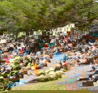 Music in the Park - Grafton Accommodation