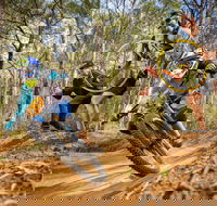 NSW State Downhill Mountain Bike Championships - Grafton Accommodation