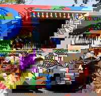 Real Festival - Grafton Accommodation