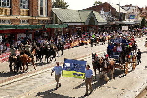 Scone Horse Festival - Grafton Accommodation 0