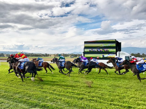 Scone Horse Festival - Grafton Accommodation 2