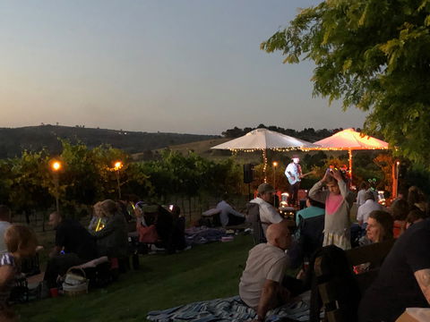 Thank God It's Friday Dinner - Vine And Dine - Grafton Accommodation 1