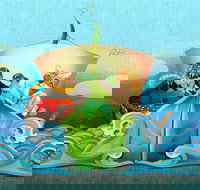 The Owl and The Pussycat - Grafton Accommodation