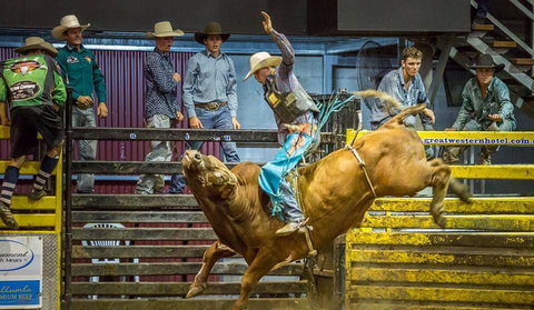 Top Gun And Young Gun Series Round 8 - Grafton Accommodation 0