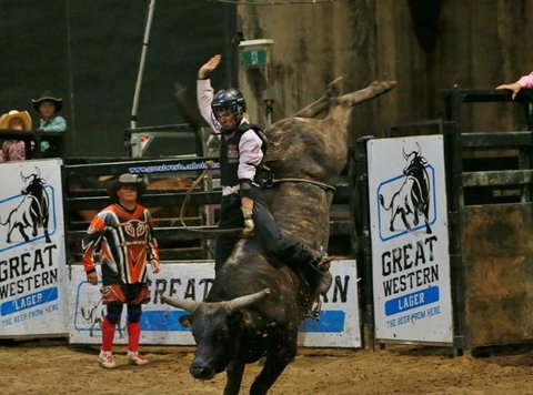 Top Gun And Young Gun Series Round 8 - Grafton Accommodation 1