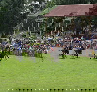 Tumut Derby Day - Grafton Accommodation