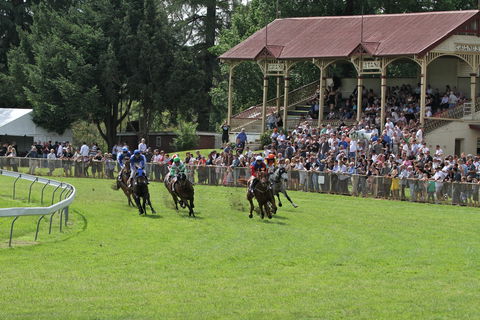 Tumut Derby Day - Grafton Accommodation 0