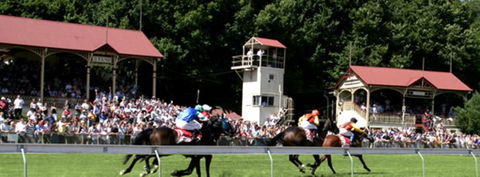 Tumut Derby Day - Grafton Accommodation 1