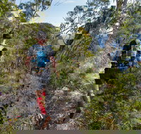 Wild Earth Coastal High 50 - Grafton Accommodation