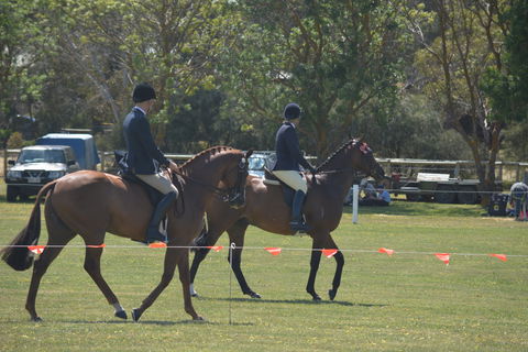 Yankalilla Show - Grafton Accommodation 2