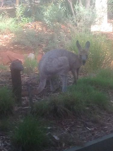 Queensland Winter Craft Festival - Grafton Accommodation 4