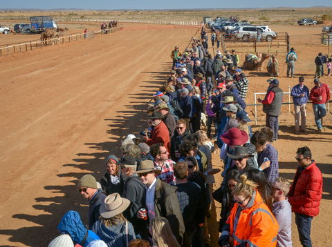 28th Marree Australasian CAMEL CUP 3 July 2021 - Grafton Accommodation 0