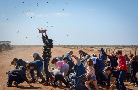 28th Marree Australasian CAMEL CUP 3 July 2021 - Grafton Accommodation 1