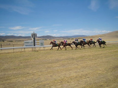 Adaminaby Cup Race Day - Grafton Accommodation 0
