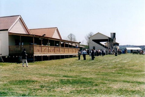 Adaminaby Cup Race Day - Grafton Accommodation 1