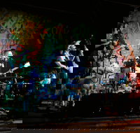 Bony Mountain Folk Festival - Grafton Accommodation